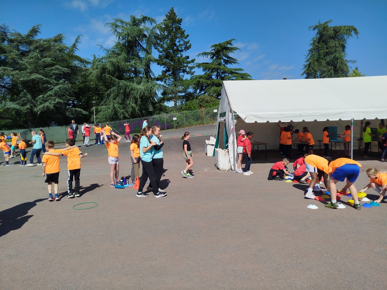 CD53 Handball Grand Stade