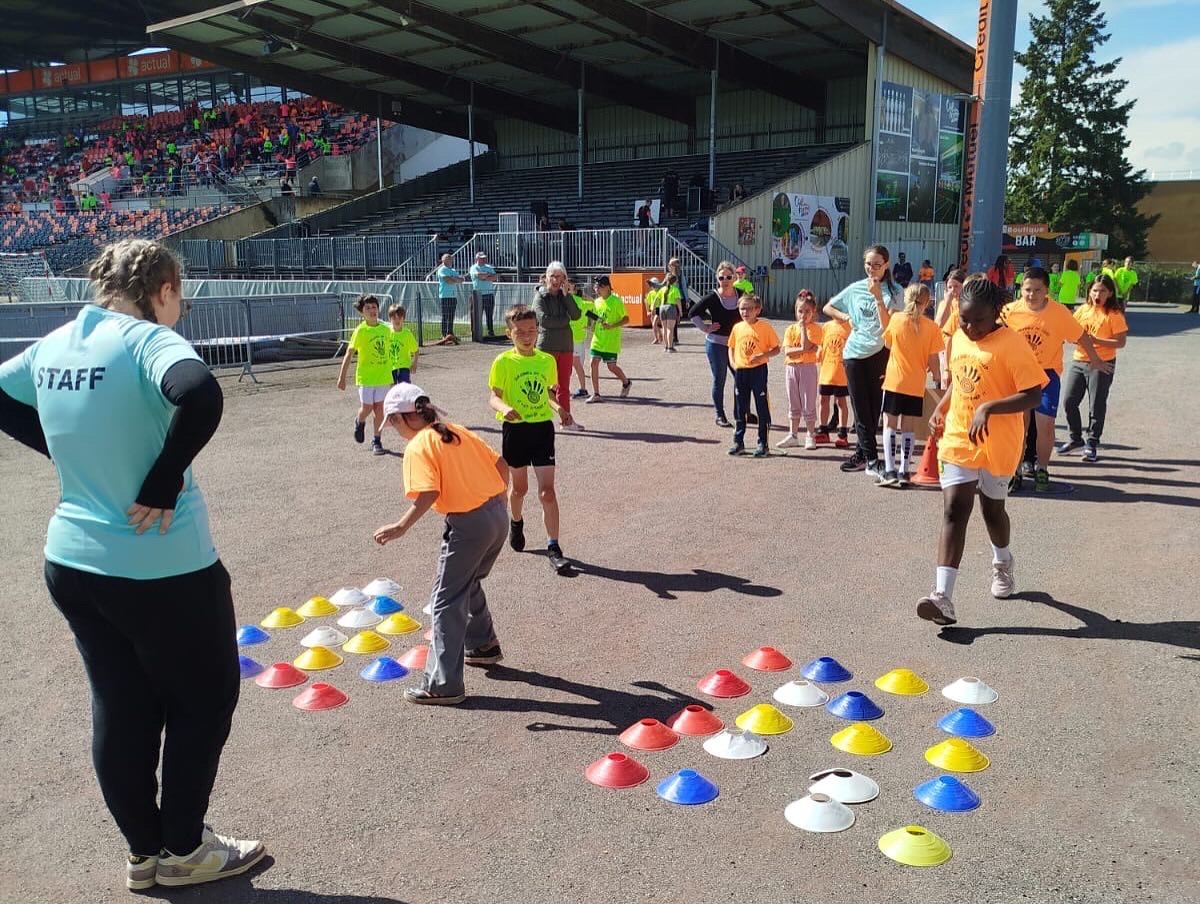 CD53 Handball Grand Stade